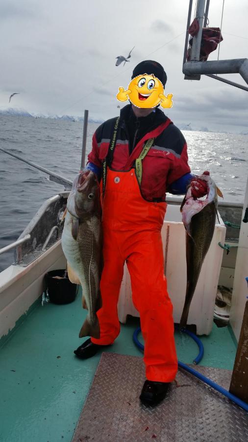 Koselig Hus Til Leie Pa Stokmarknes I Vesteralen Exterior foto